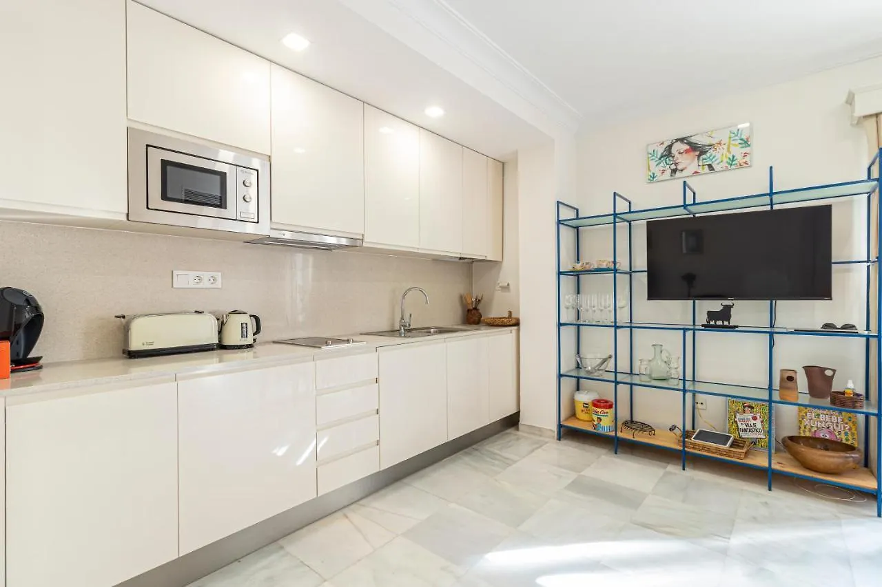 Allo Apartments Porvenir Centro 1 Habitacion 赫雷斯